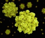 TRIM7 inhibits coxsackievirus and norovirus infection