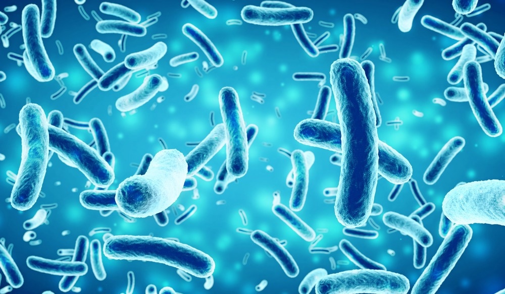 Study: Hacking Commensal Bacteria to Consolidate the Adaptive Mucosal Immune Response in the Gut–Lung Axis: Future Possibilities for SARS-CoV-2 Protection. Image Credit: paulista / Shutterstock.com