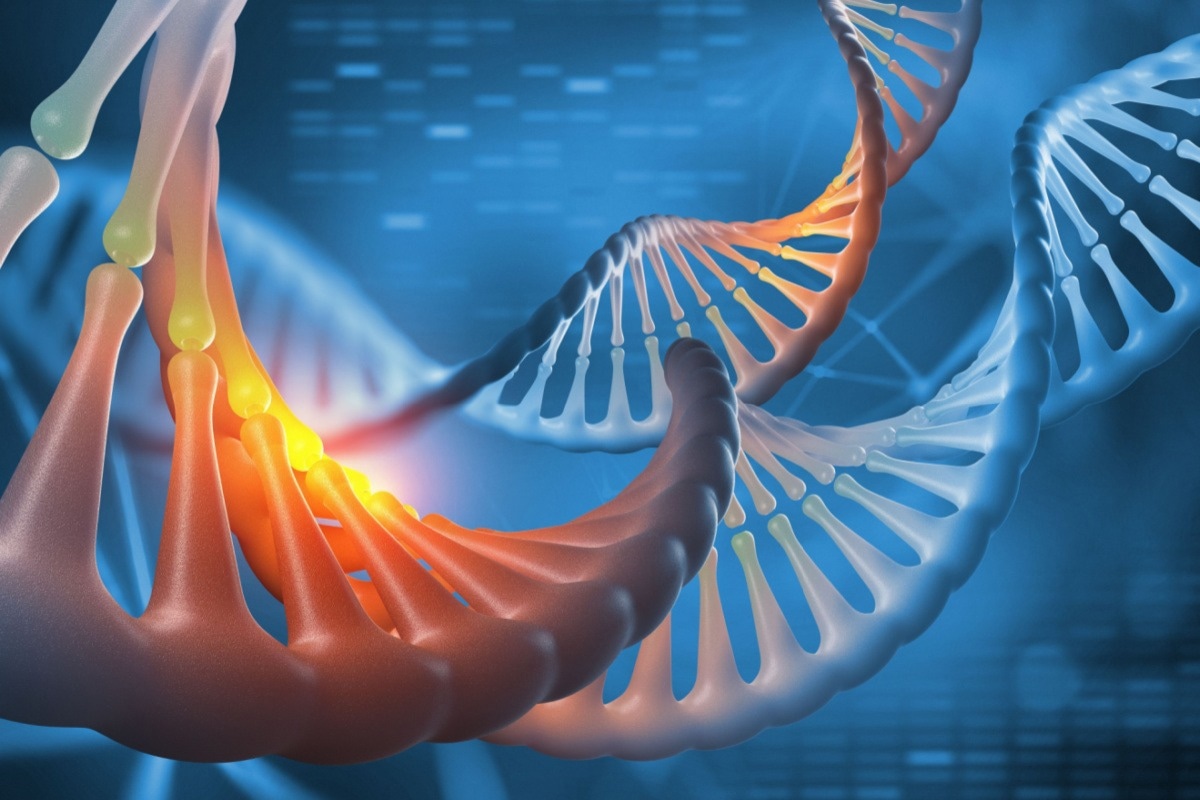 Study: The sequences of 150,119 genomes in the UK Biobank. Image Credit: Yurchanka Siarhei/Shutterstock