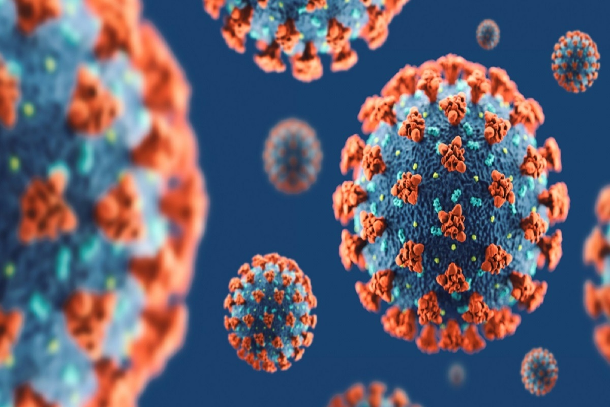 Study: Evasion of neutralizing antibodies by Omicron sublineage BA.2.75. Image Credit: neative/Shutterstock