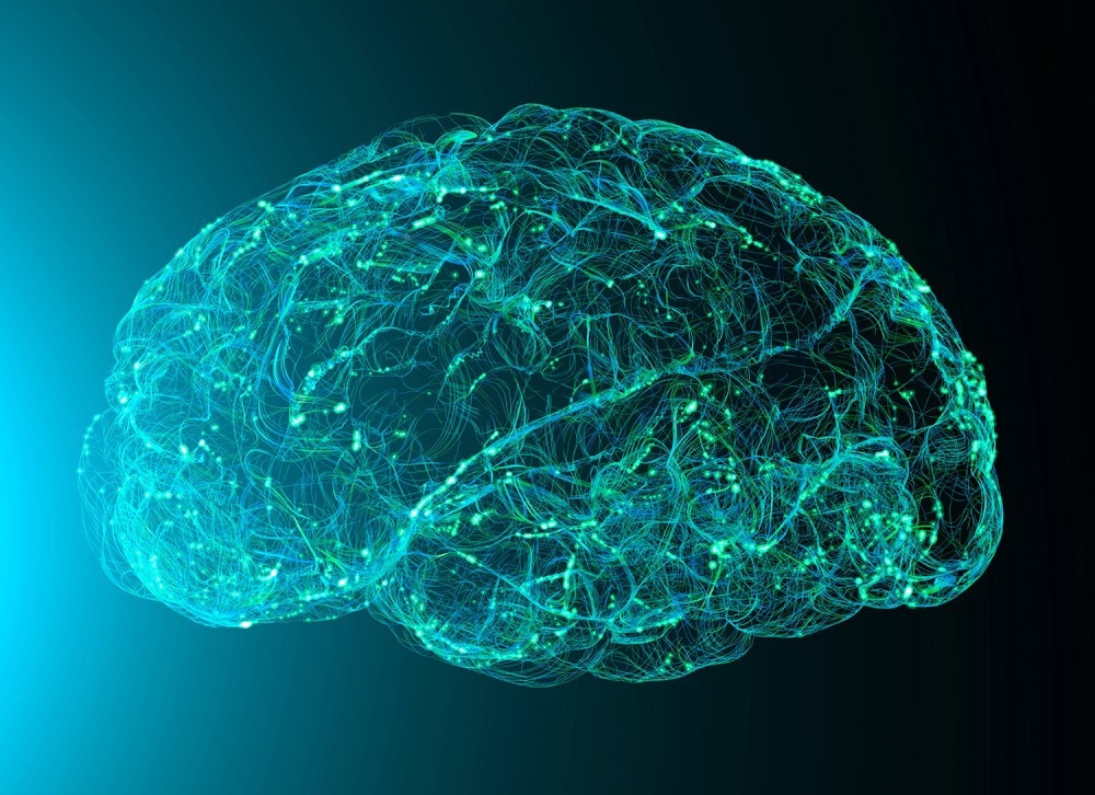 Study: Horizons in Human Aging Neuroscience: From Normal Neural Aging to Mental (Fr)Agility. Image Credit: Naeblys / Shutterstock.com