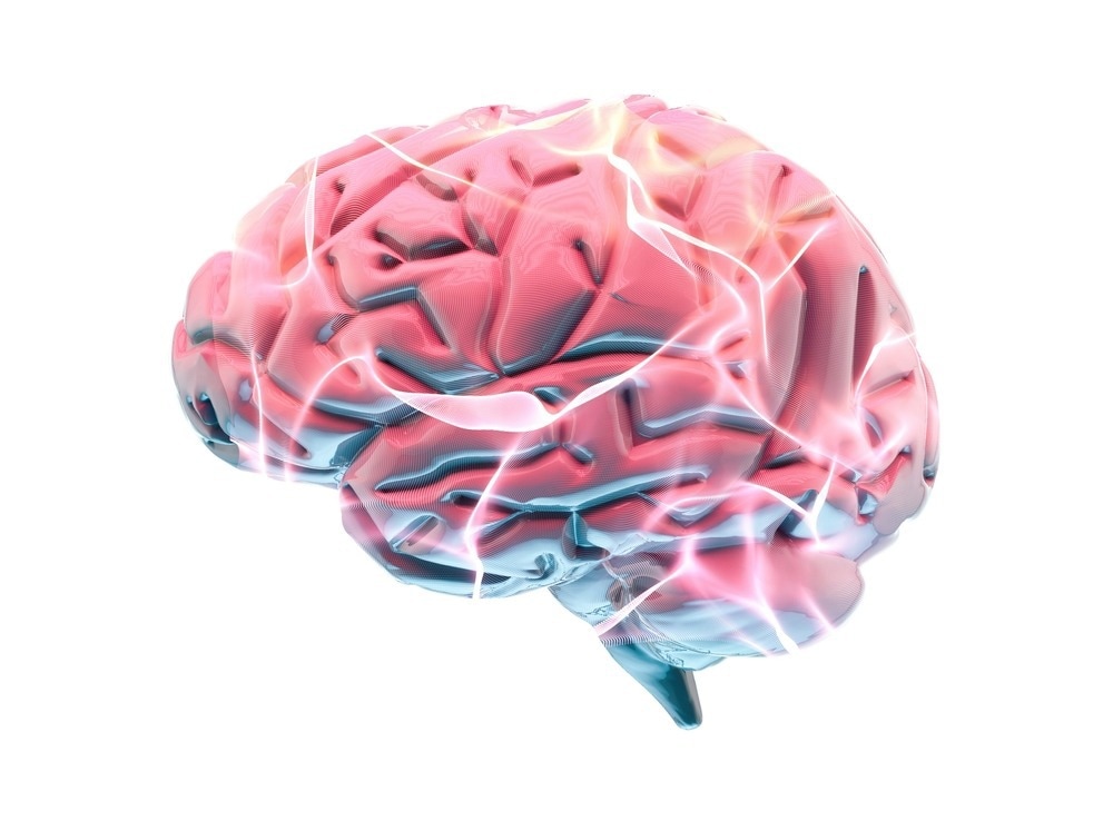 Study: The Gut Microbiome and Alzheimer’s Disease: Complex and Bidirectional Interactions. Image Credit: Naeblys / Shutterstock.com