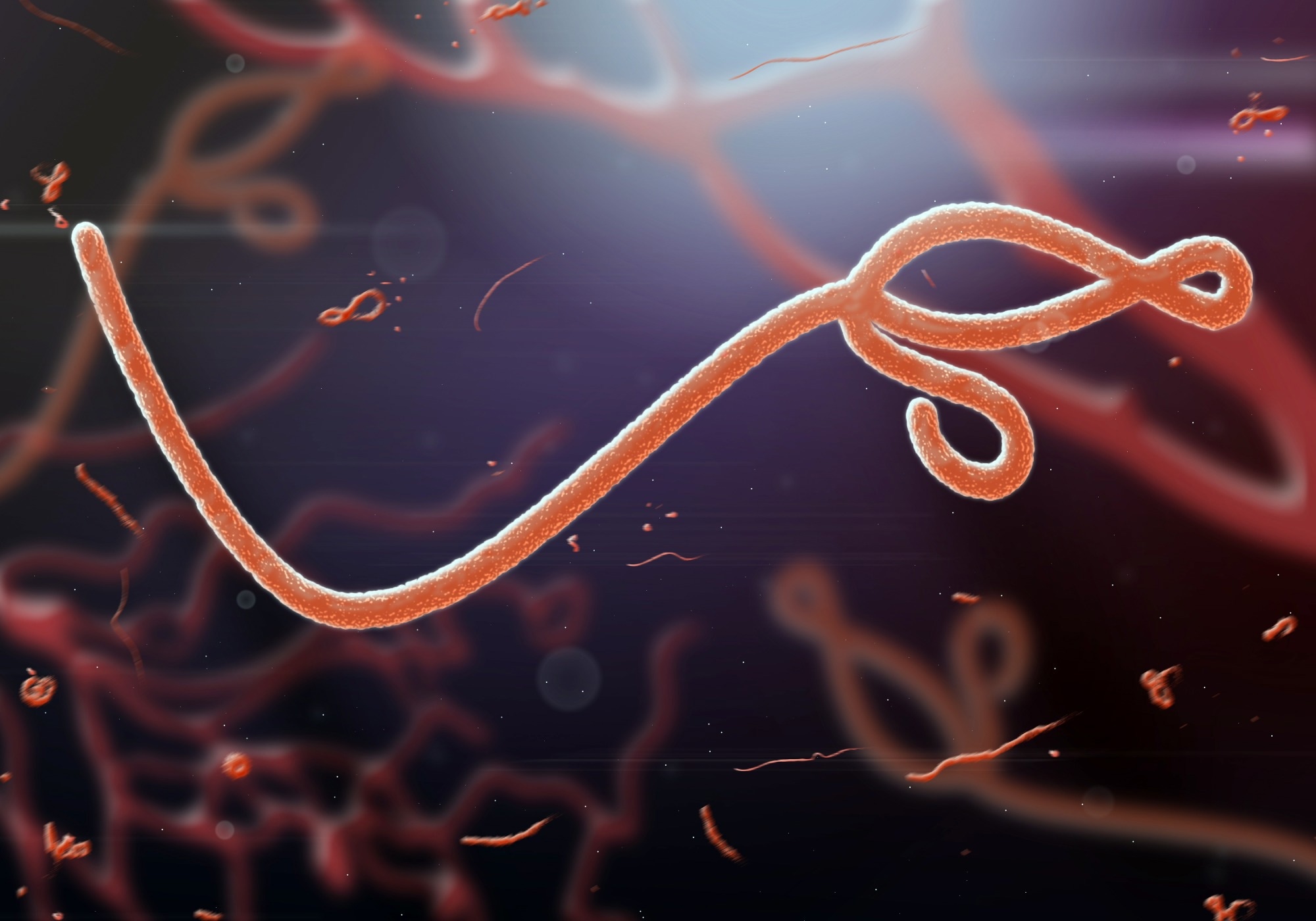 Study: Sphingosine kinases promote Ebola virus infection and can be targeted to inhibit filoviruses, coronaviruses, and arenaviruses using late endocytic trafficking to enter cells. Image Credit: jaddingt/Shutterstock