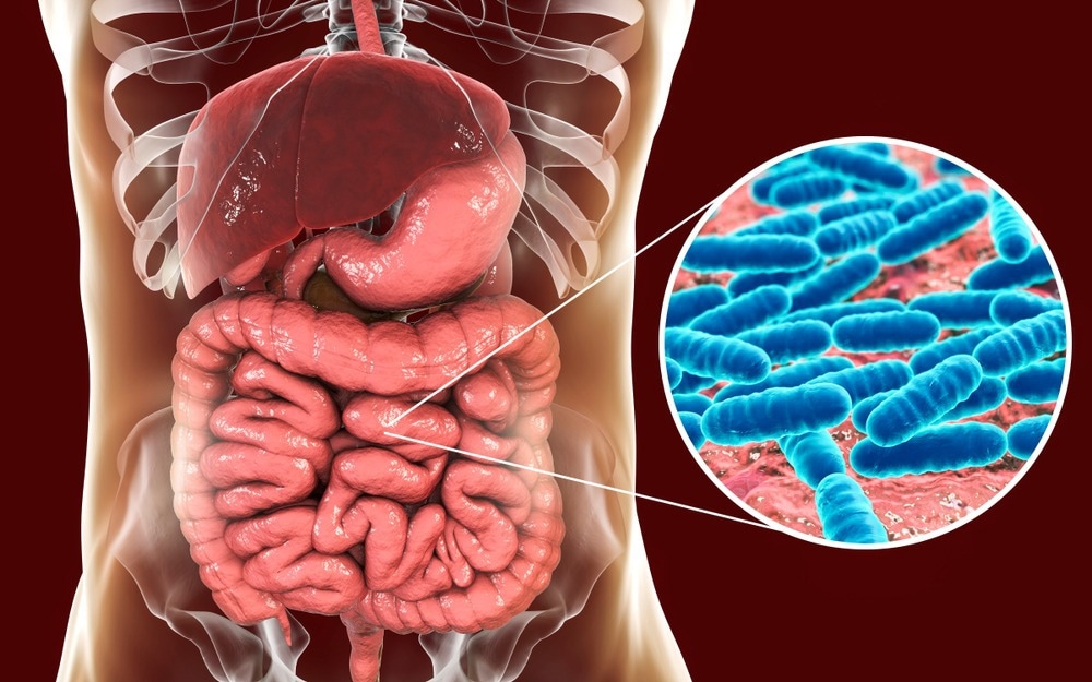 Study: COVID-19 severity is associated with population-level gut microbiome variations. Image Credit: Kateryna Kon/Shutterstock