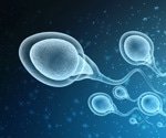 Study finds strong evidence for the ability of SARS-CoV-2 to infect human sperm in vitro