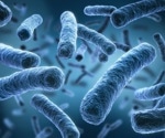 How can Legionella pneumophila transmit through the hot water plumbing of residences and office buildings?