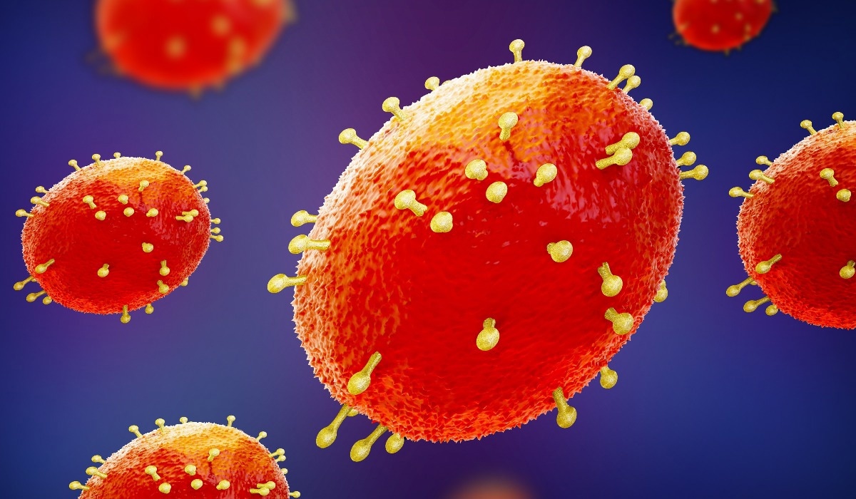 Study: Single and 2-dose vaccinations with MVA-BN® induce durable B cell memory responses in healthy volunteers that are comparable to older generation replicating smallpox vaccines. Image Credit: MIA Studio/Shutterstock