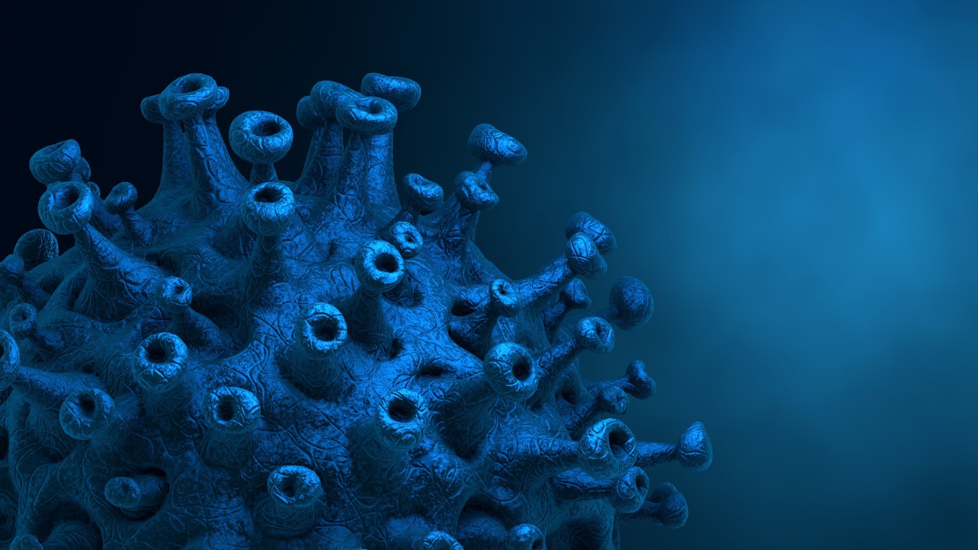 Study: Semen parameters and sex hormones as affected by SARS-CoV-2 infection: A systematic reviewParamètres du sperme et hormones sexuelles affectés par l’infection par le SRAS-CoV-2 : une revue systématique. Image Credit: CROCOTHERY/Shutterstock