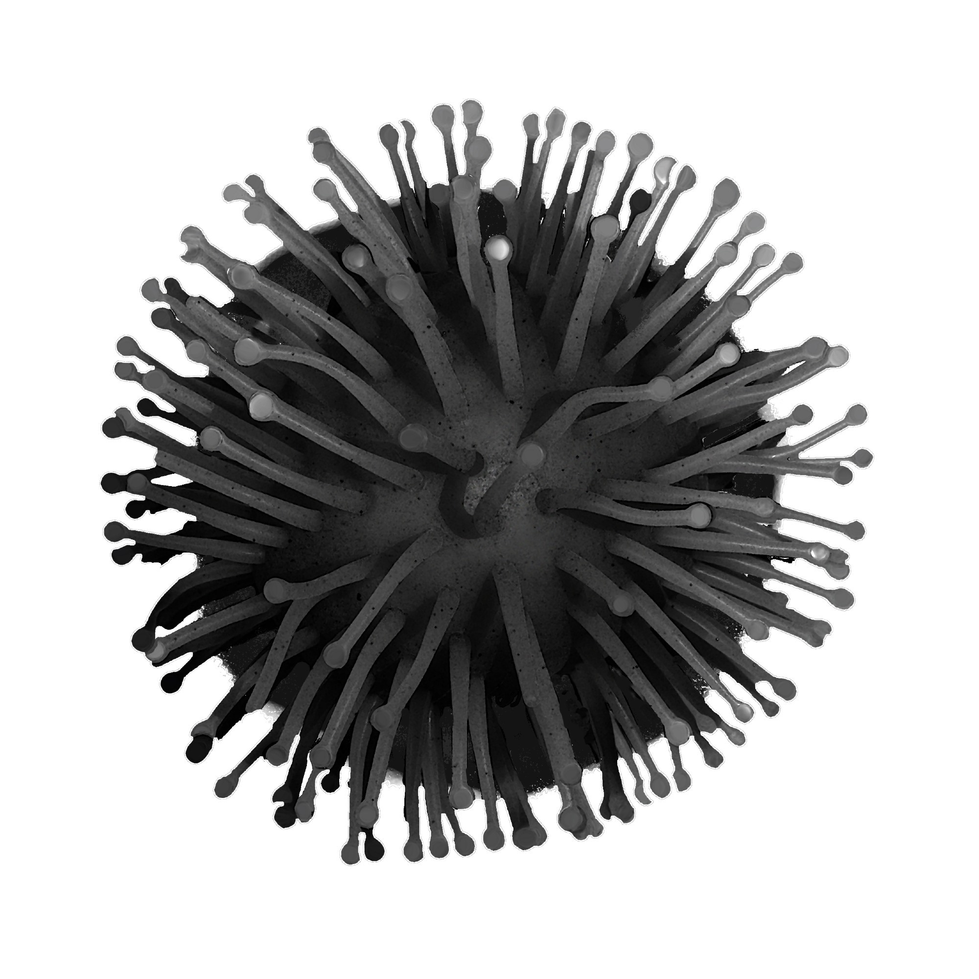 Study: A bovine antibody possessing an ultralong complementarity-determining region CDRH3 targets a highly conserved epitope in sarbecovirus spike proteins. Image Credit: Andrii Yarovsky/Shutterstock