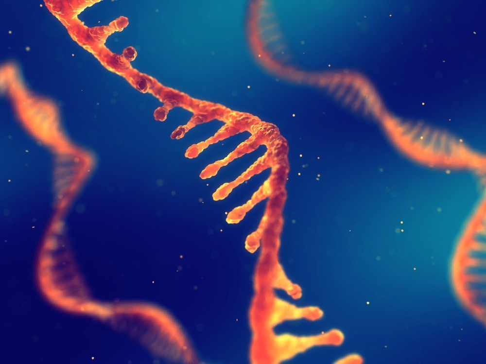 Study: Unlocking the promise of mRNA therapeutics. Image Credit: nobeastsofierce/Shutterstock