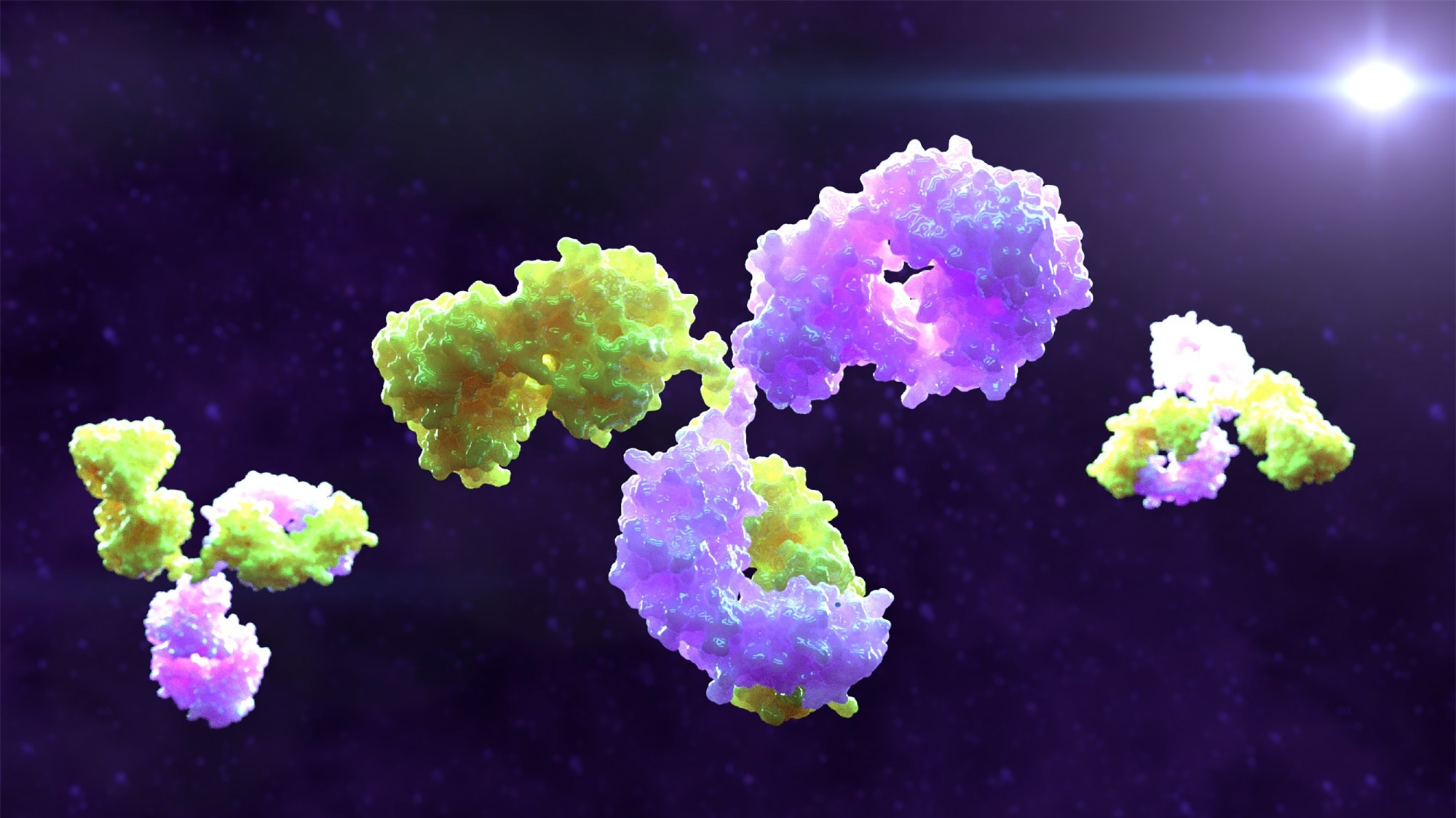 Study: Bispecific antibodies combine breadth, potency, and avidity of parental antibodies to neutralize sarbecoviruses. Image Credit: Alpha Tauri 3D Graphics / Shutterstock