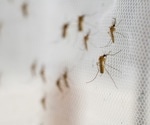 Laos malaria outbreak in 2020–21 likely caused by multidrug-resistant strains of P. falciparum