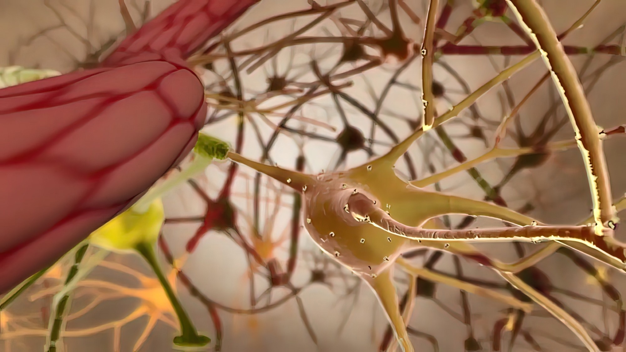 Study: Virus exposure and neurodegenerative disease risk across national biobanks. Image Credit: picmedical / Shutterstock