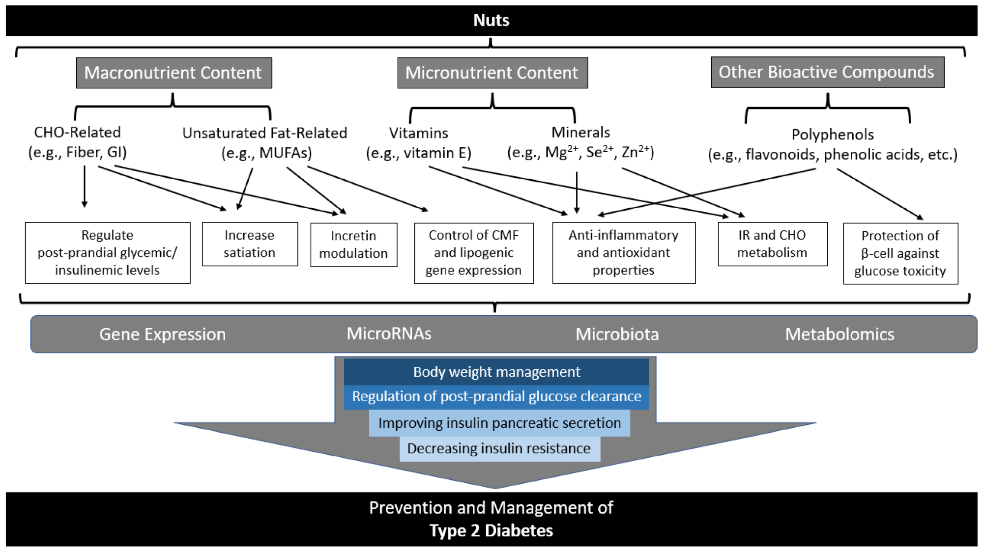 Summary of potential mechanisms of action for the role nuts may play in diabetes prevention and management. Adapted with permission from, Hernández-Alonso et al. Abbreviations: CHO, carbohydrate; CMF, cellular membrane fluidity; GI, glycemic index; IR, insulin resistance; MUFAs, monounsaturated fatty acids; RNA, ribonucleic acid.