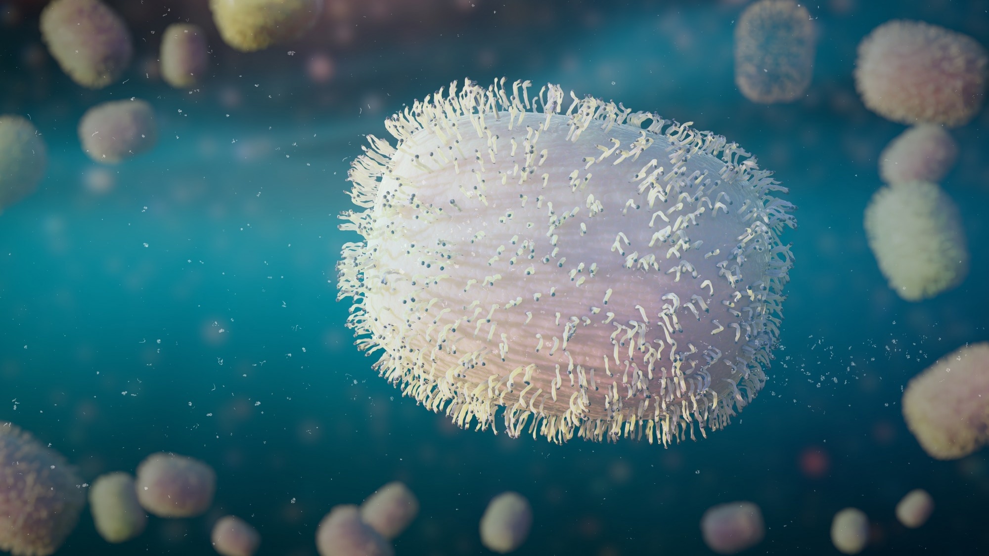 Study: Urban and Rural Mpox Incidence Among Persons Aged 15–64 Years — United States, May 10–December 31, 2022. Image Credit: DottedYeti/Shutterstock.com