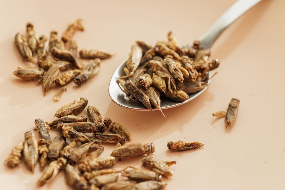Study: Effects of Insect Consumption on Human Health: A Systematic Review of Human Studies. Image Credit: Girts Ragelis/Shutterstock.com