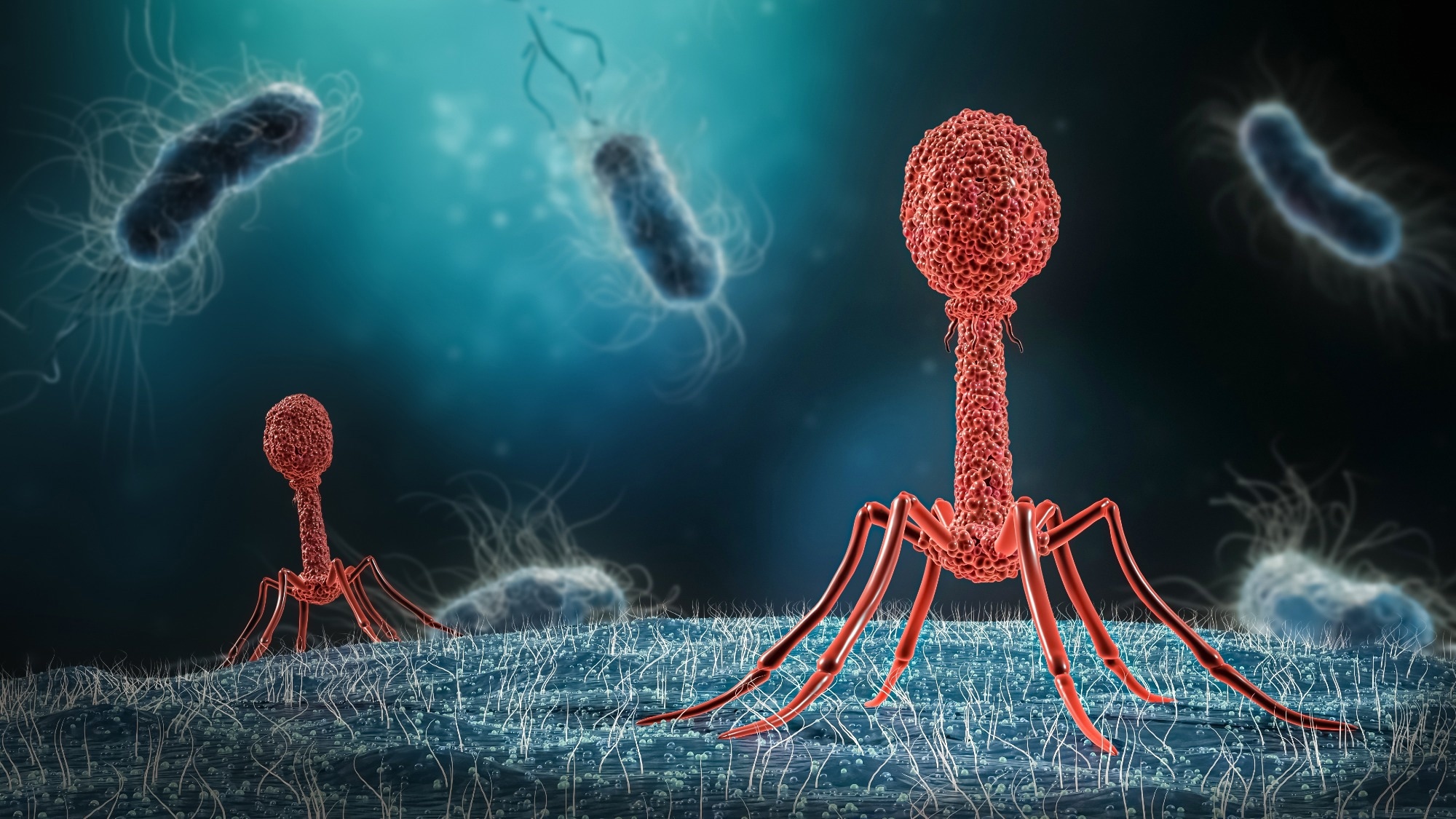 Study: Enhancing bacteriophage therapeutics through in situ production and release of heterologous antimicrobial effectors. Image Credit: MattL_Images/Shutterstock.com