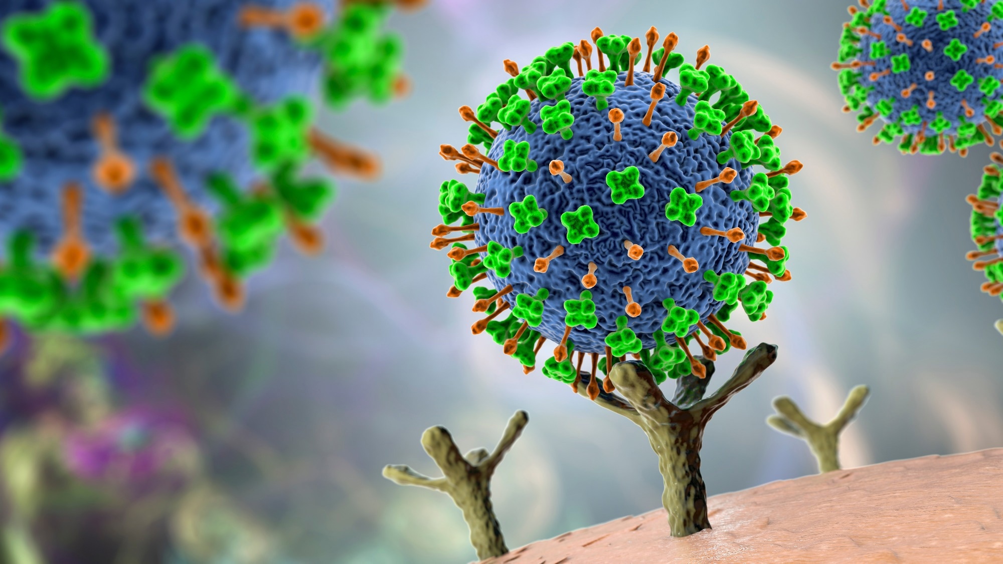 Study: ACE2 in chronic disease and COVID-19: gene regulation and post-translational modification. Image Credit: Kateryna Kon / Shutterstock.com