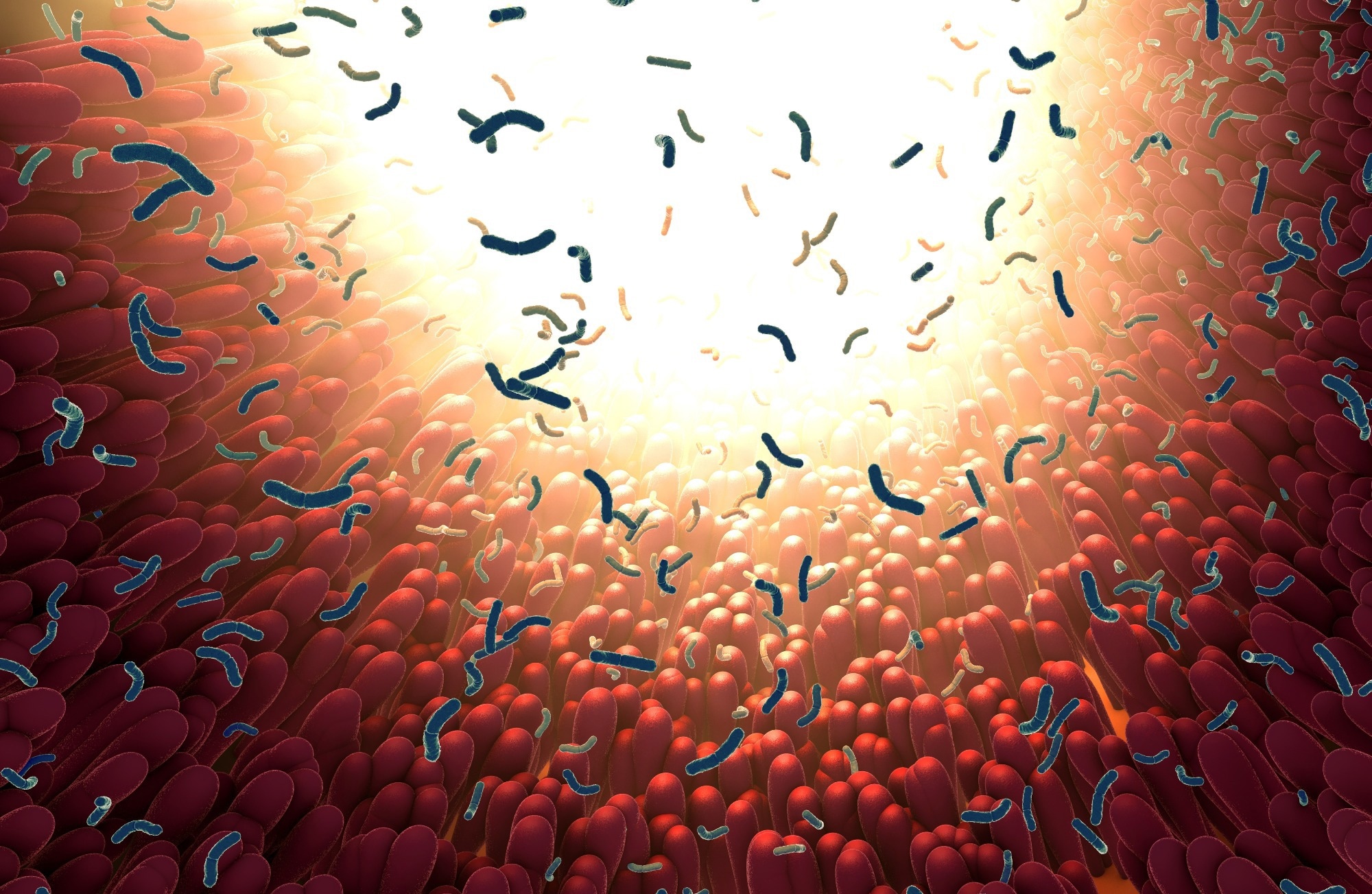 Review: The First 1000 Days of Life: How Changes in the Microbiota Can Influence Food Allergy Onset in Children. Image Credit: Christoph Burgstedt / Shutterstock