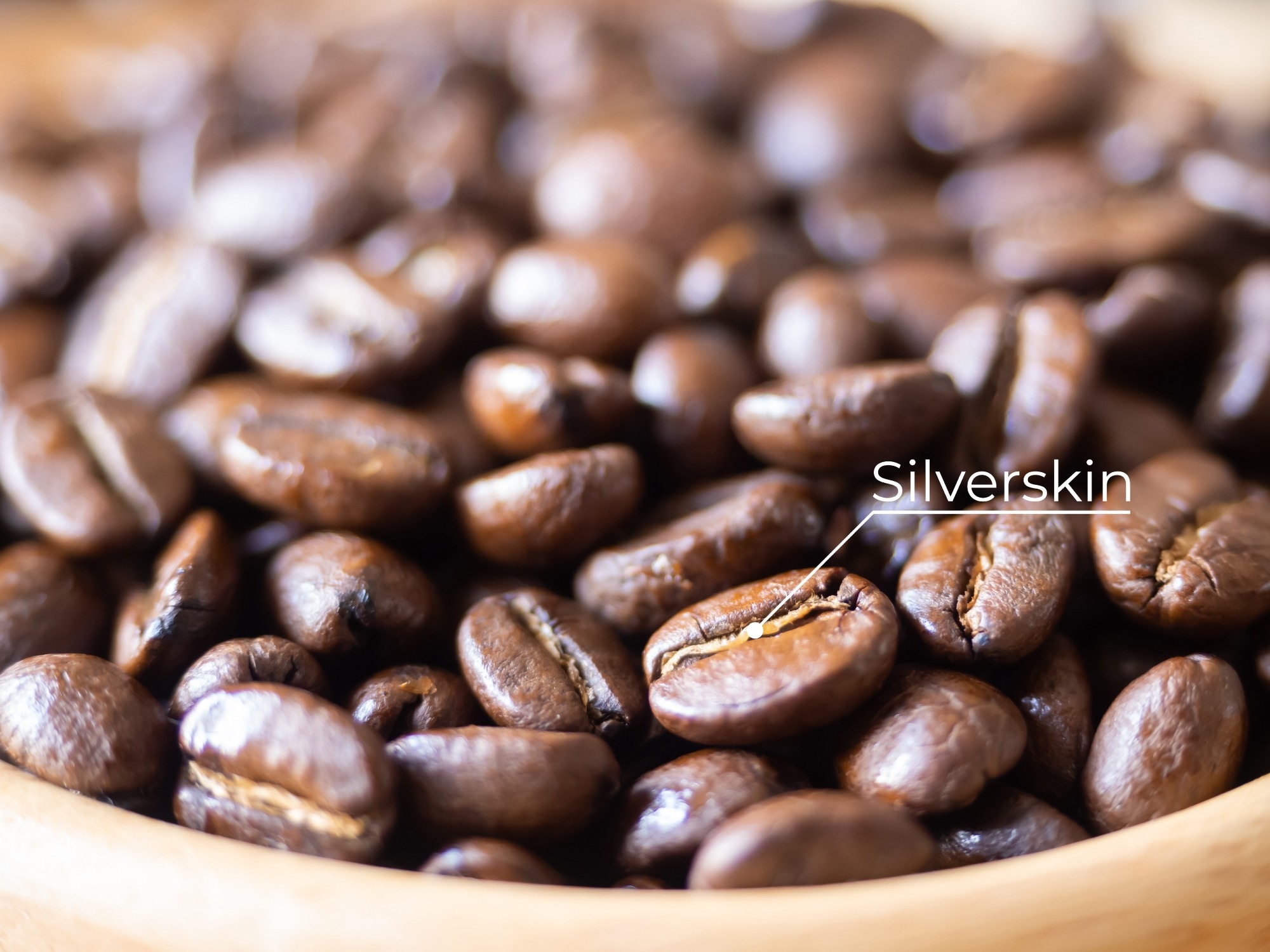 Study: Coffee Silverskin Phytocompounds as a Novel Anti-Aging Functional Food: A Pharmacoinformatic Approach Combined with In Vitro Study. Image Credit: Benjavisa Ruangvaree Art/Shutterstock.com