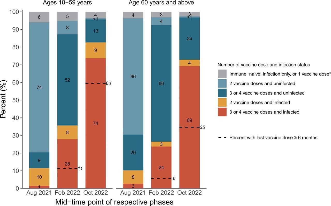 Cumulative incidence in each stratum of infection and vaccination in the pre-omicron wave, during the omicron BA.1/1.1 wave, and during the BA.2 and BA.5 waves by age group. *Including uninfected and infected cases. The first column in each age group represents the antibody and viral test positivity for the entire period prior to omicron, whereas the second column represents the values during the omicron BA.1/1.1 wave and the third during the BA.2/5 waves. By the last time period studied, the numbers of participants aged 15-59 who were N-positive, viral test–positive, and positive to both were 675 (41%), 37 (2%), and 699 (43%). The comparable numbers for participants aged 60 or more were 763 (44%), 35 (2%), and 500 (29%).