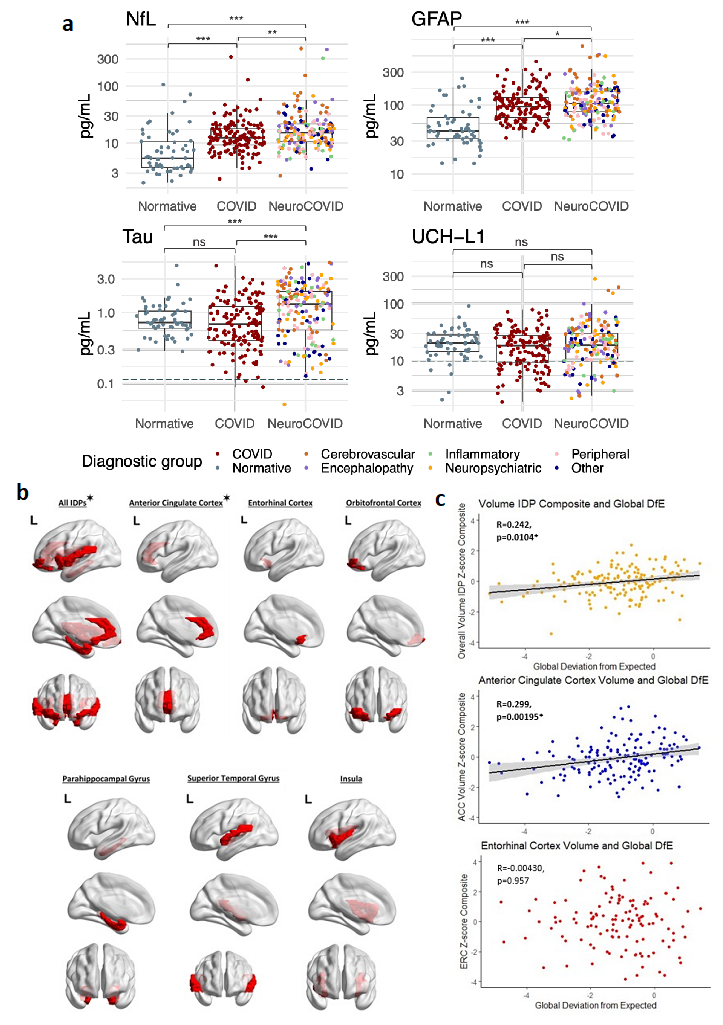 a: Brain injury markers in pg/mL by diagnostic group. Lower limit of quantification (LLOQ marked (dashed)) if included in scale. Normative values from