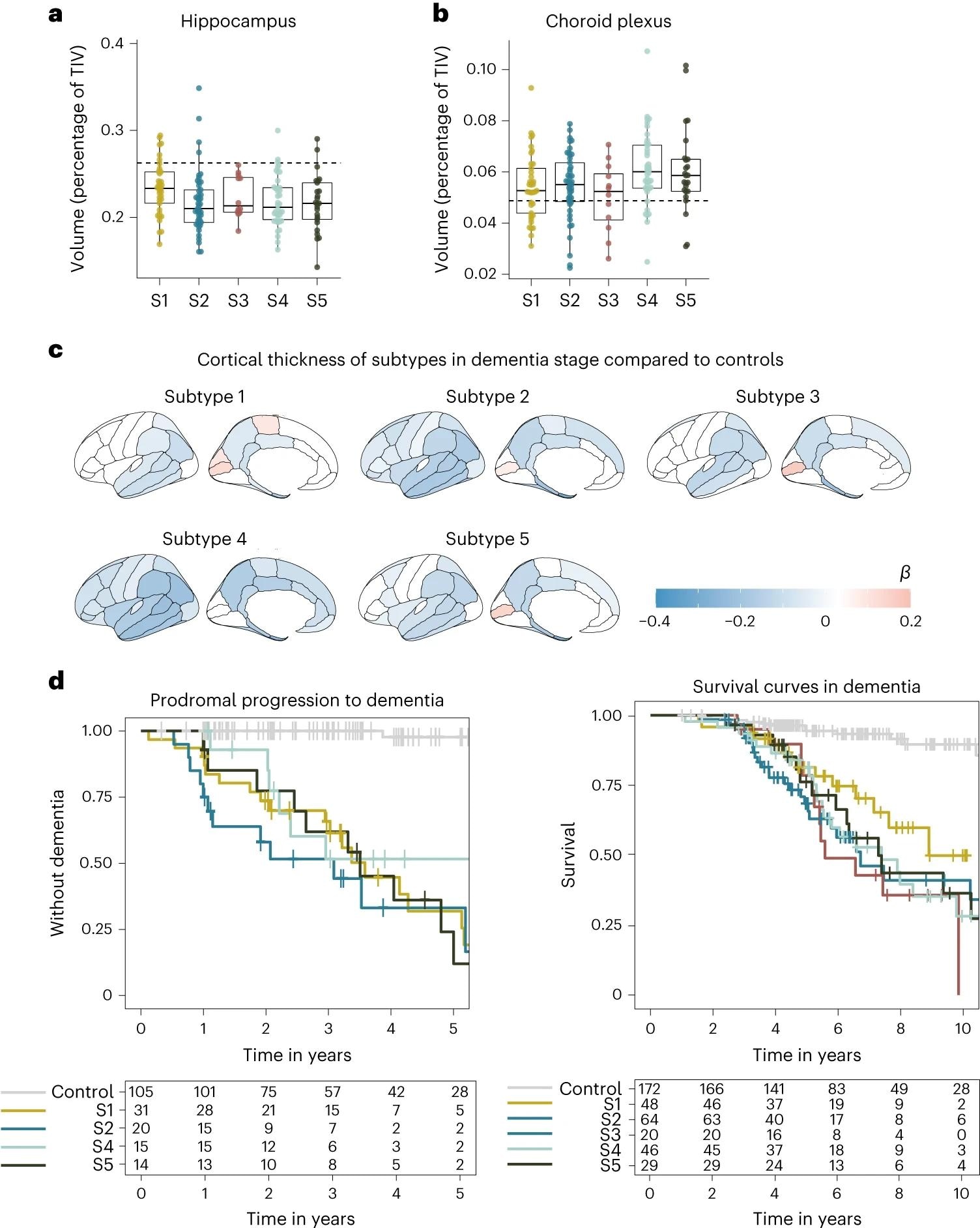 a, Median hippocampal volume as the percentage of total intracranial volume (TIV) compared to subtypes in the dementia stage. b, Choroid plexus volume as the percentage of TIV compared to subtypes in the dementia stage. c, Cortical atrophy associated with AD subtypes in the dementia stage compared to controls (n = 160). β indicates mean cortical thickness in mm, averaged over the right and left hemispheres and adjusted for age and sex. d, Clinical progression from MCI to dementia according to subtype (left; excluding subtype 3 due to n = 2) and time from dementia to death according to subtypes (right). All atrophy measures are based on individuals with dementia only. a,b, The boxplots depict the median in the center; the boundaries indicate the first and third quartiles, while the whiskers extend up and down to 1.5 times the interquartile range (limited to actual observed data points), and the points indicate individual person values (subtype 1, n = 37; subtype 2, n = 45; subtype 3, n = 12; subtype 4, n = 40; subtype 5, n = 25).