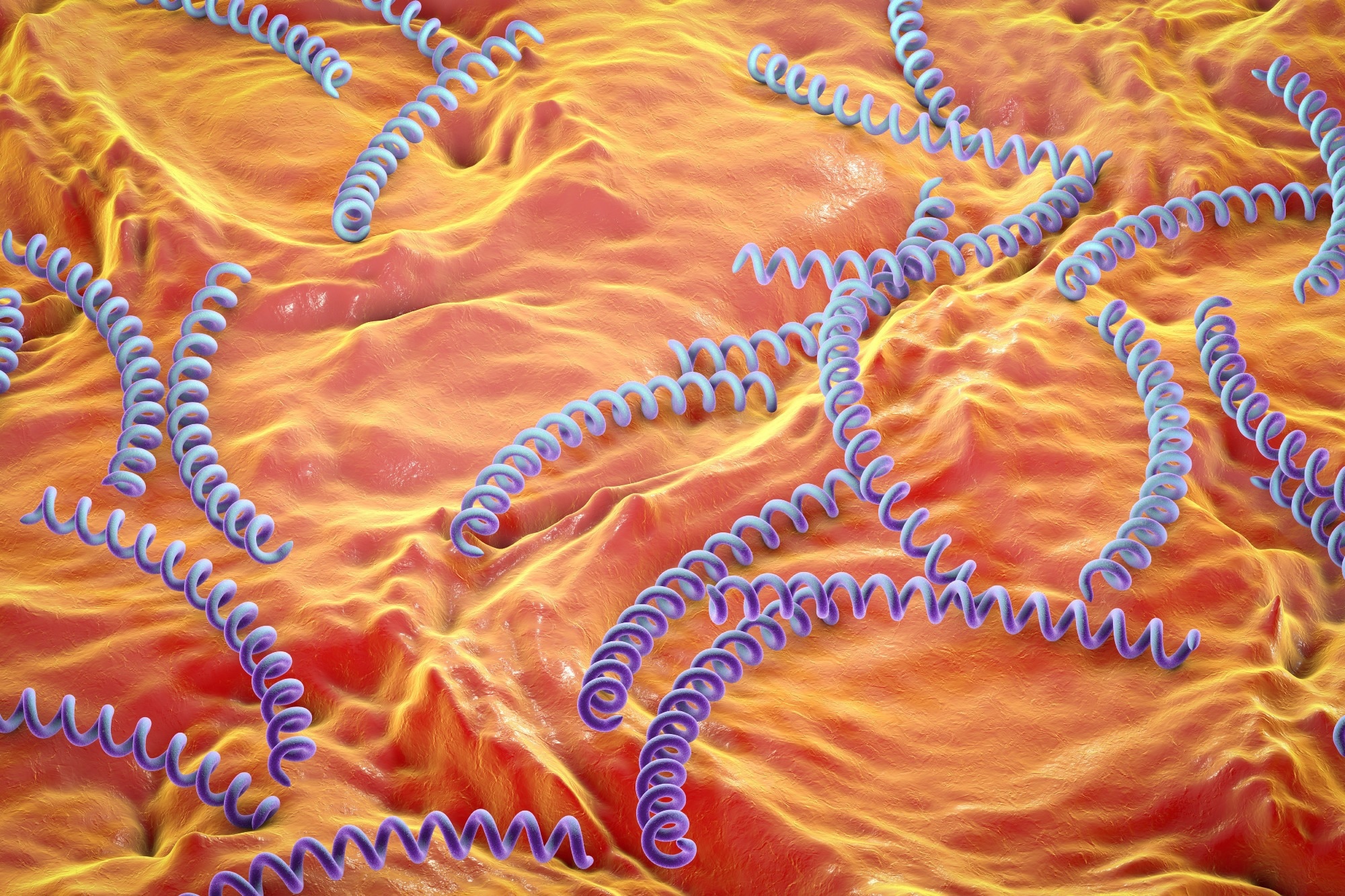Study: Syphilis: Is it Back with a Bang? Image Credit: Kateryna Kon / Shutterstock