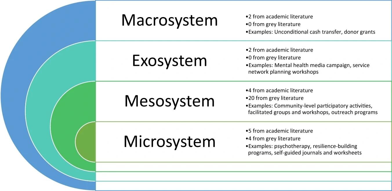 Identified interventions and their level of action based on Bronfenbrenner’s ecological theory as applied to public mental health research.