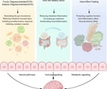 Review highlights hidden gut-brain connection in neurological disorders