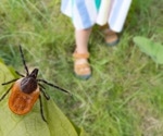 CDC study reveals significantly higher Lyme disease rates among older adults than previously reported