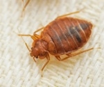 Insights on diagnosing and treating scabies, bedbugs, and lice effectively
