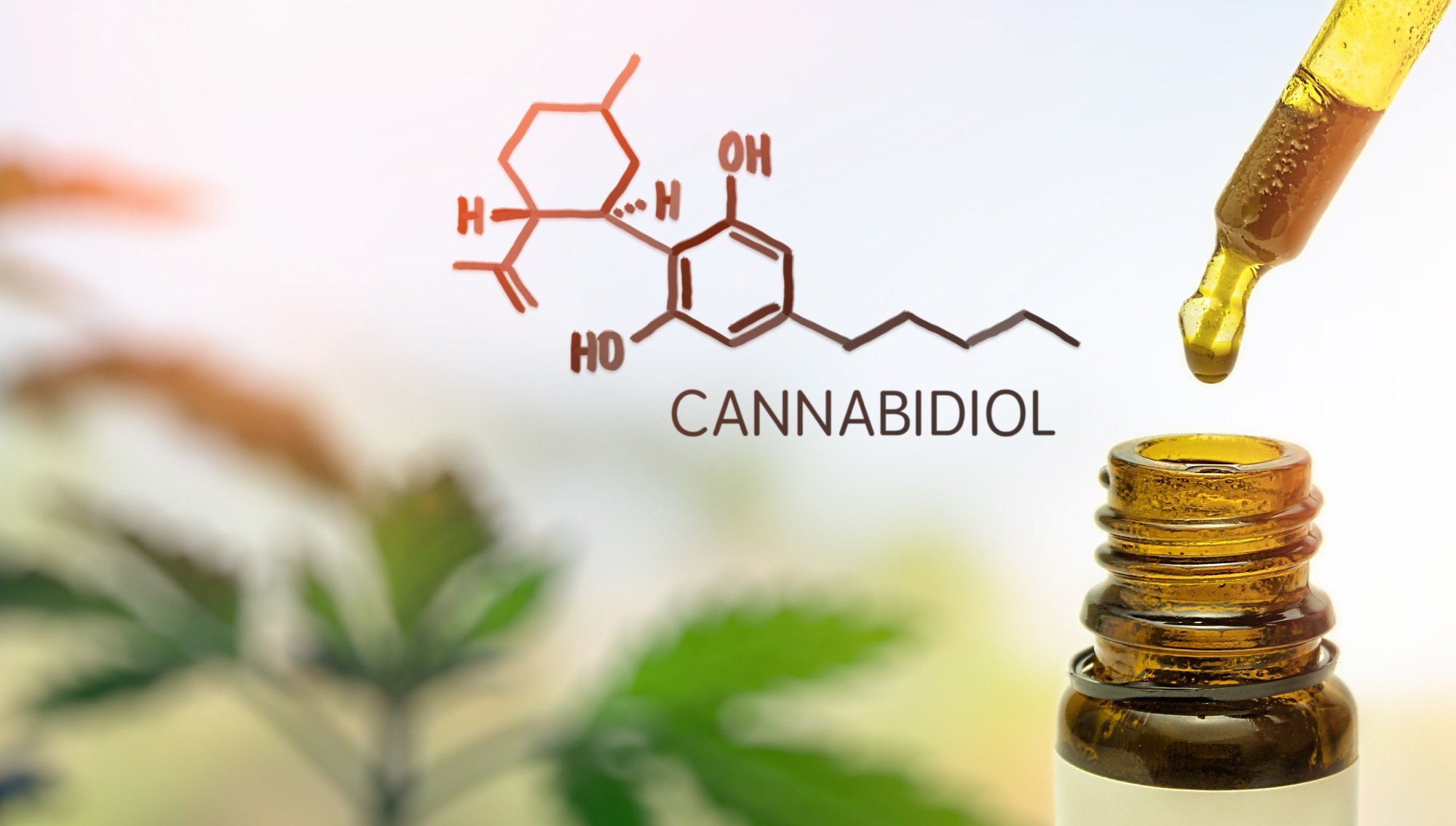 Study: Cannabidiol, a plant-derived compound, is an emerging strategy for treating cognitive impairments: comprehensive review of randomized trials. Image Credit: Creativan / Shutterstock