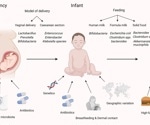 How gut microbiota impacts childhood obesity