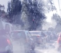 The link between air pollution and lower respiratory infections in adults
