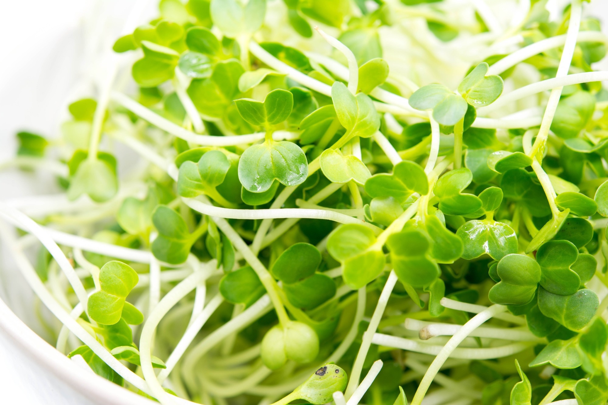 Study: Effect of broccoli sprout extract and baseline gut microbiota on fasting blood glucose in prediabetes: a randomized, placebo-controlled trial. Image Credit: ami mataraj / Shutterstock