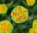 Rare enterovirus strain in Spain raises alarms over potential outbreaks