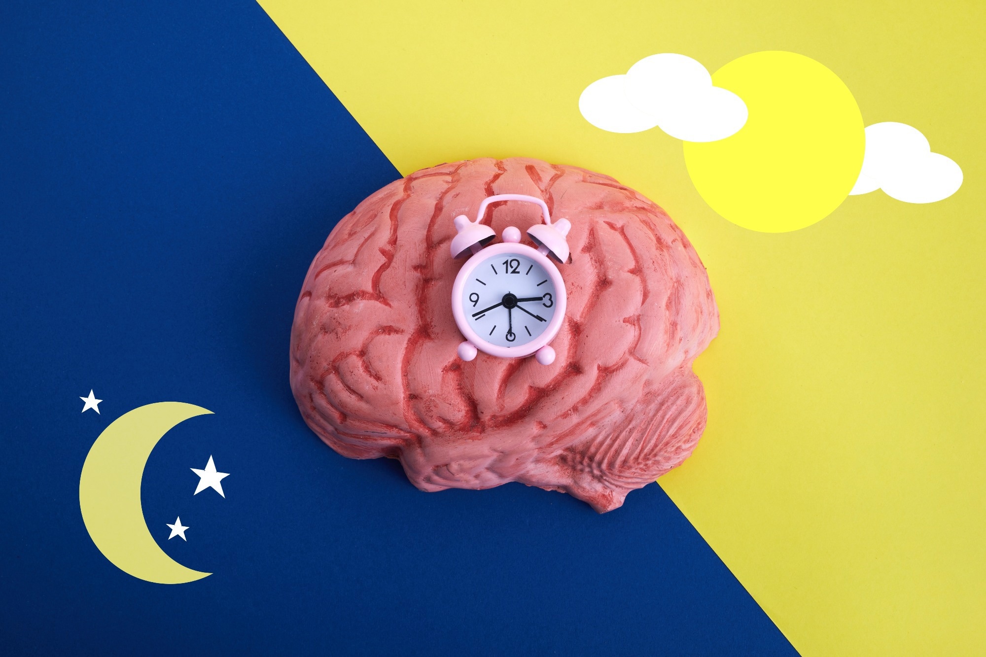 Study: Circadian syndrome and mortality risk in adults aged ≥ 40 years: a prospective cohort analysis of CHARLS and NHANES. Image Credit: vetre / Shutterstock