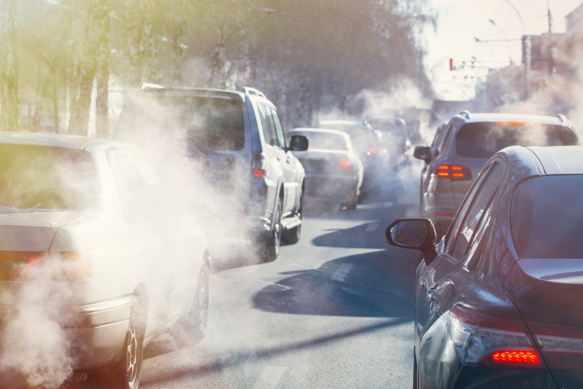 Pollution from the exhaust of cars