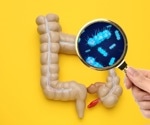 Researchers find gut bacteria rapidly soak up ‘forever chemicals’