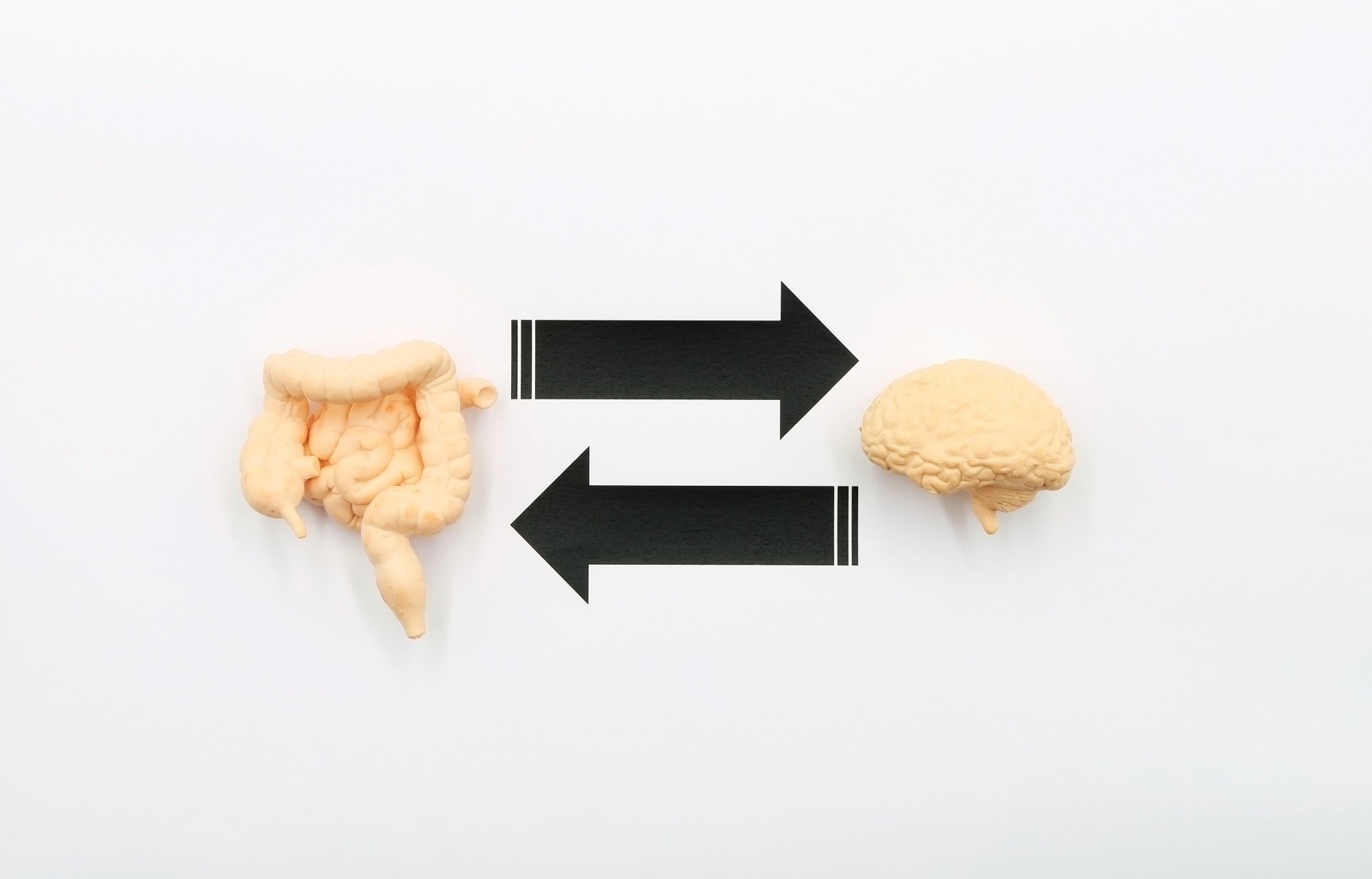 The Gut-Brain Axis. A two-way biochemical signaling that takes place between the gastrointestinal tract (GI tract) and the central nervous system (CNS)