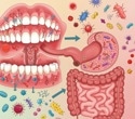Mouth and gut microbes talk to each other - here’s why it matters for disease