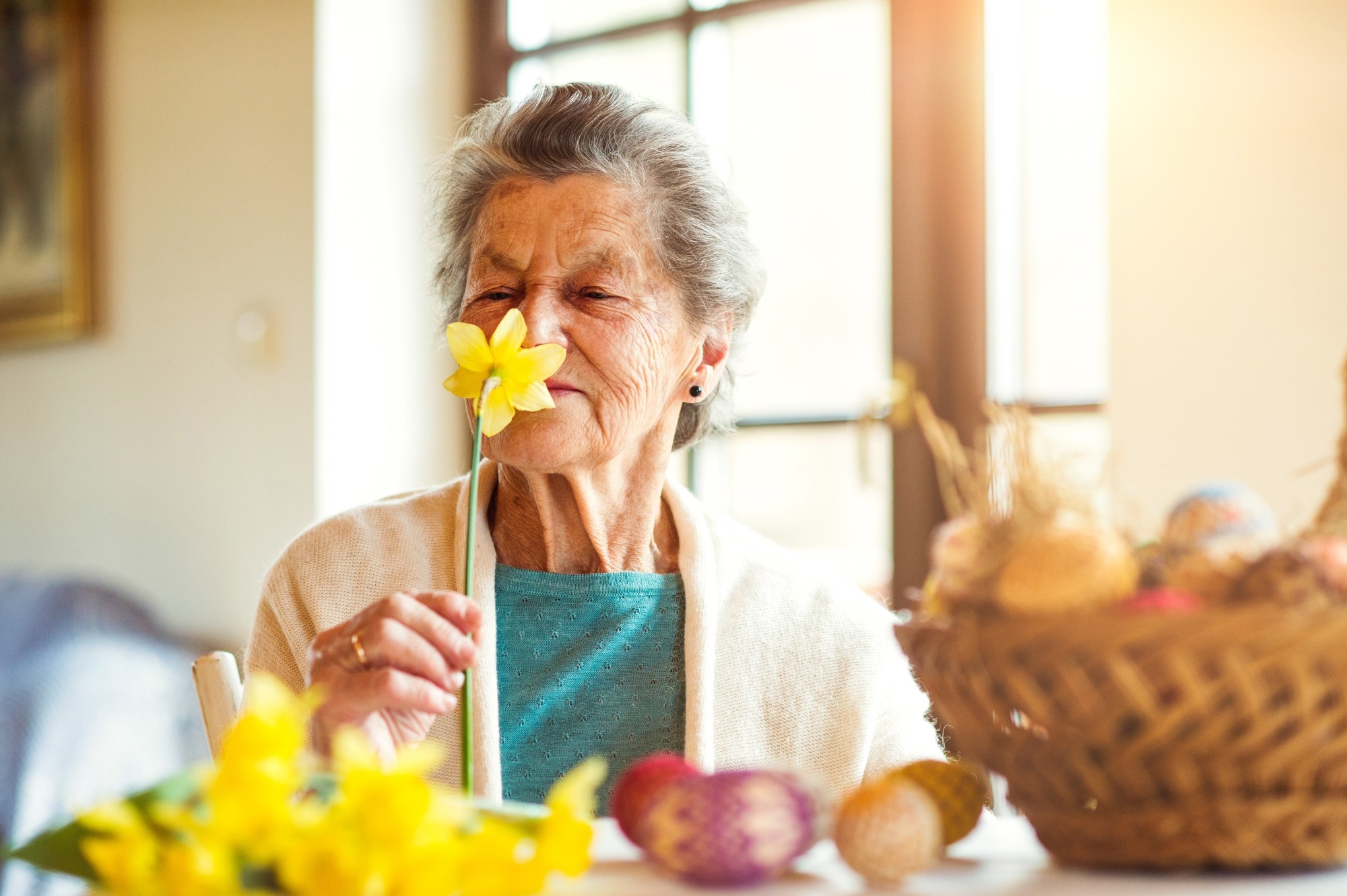 Senior woman by the window smelling yellow daffodil,