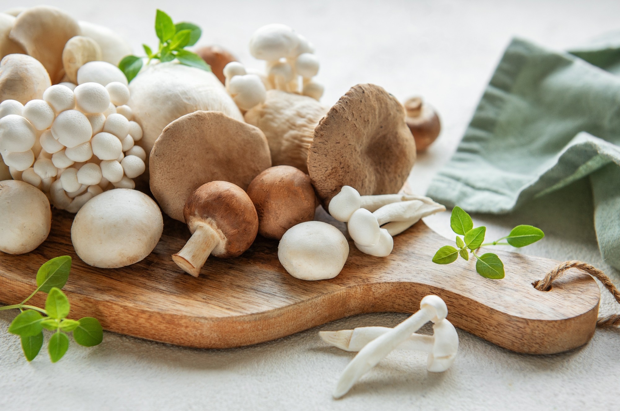 Review: Harnessing the Nutritional Value, Therapeutic Applications, and Environmental Impact of Mushrooms. Image Credit: Olena Rudo / Shutterstock
