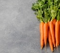 Carrot fiber supplement boosts gut bacteria and immune defenses