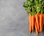 Carrot fiber supplement boosts gut bacteria and immune defenses