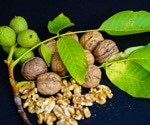 How walnuts combat inflammation and oxidative stress in the body