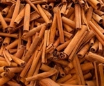Scientists map how cinnamon’s bioactives interact with cancer signaling