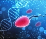 Harmful DNA changes in the sperm found to rise sharply with age