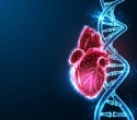 New ACC Scientific Statement highlights inflammation in cardiovascular disease